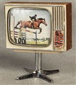 TV hästhoppning, 190206.jpg