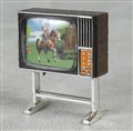 TV med hästar, 091004.jpg
