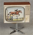TV med hästhoppning, lite solkig, 160706.jpg