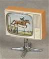 TV med snurrfot, 210916.jpg
