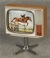 TV snurrbar häst, 220117.jpg